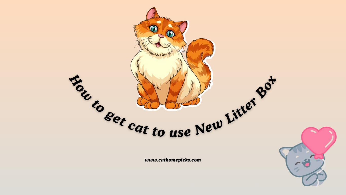 Cat Not Using New Litter Box? Try These Tips