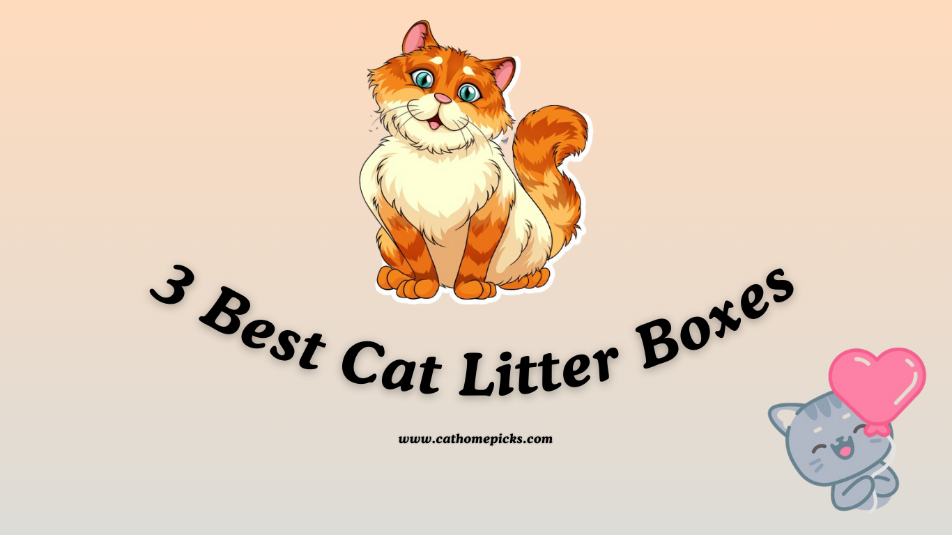 3 Best Stainless Steel Cat Litter Boxes for Your Cat