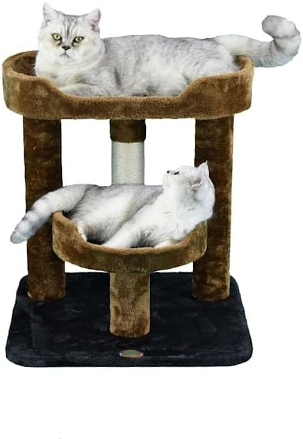 best cat tree for senior cats