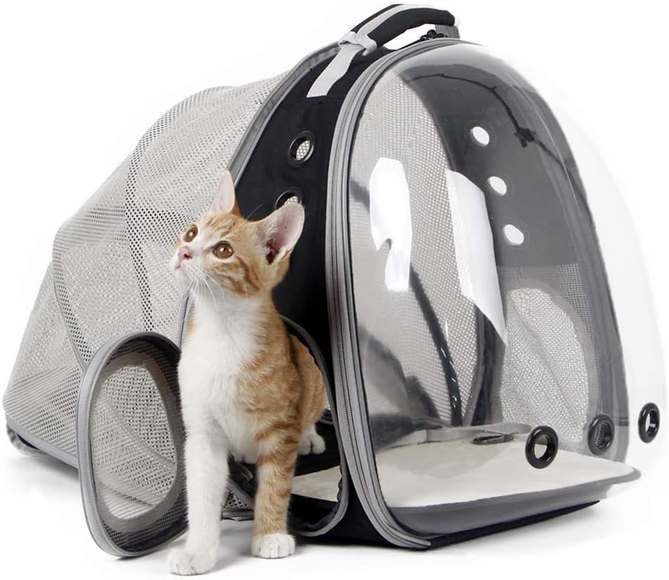 cat bubble backpack