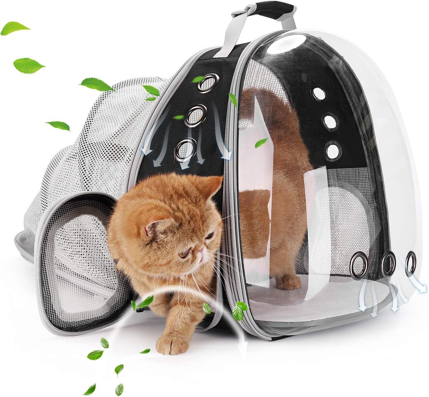 cat bubble backpack