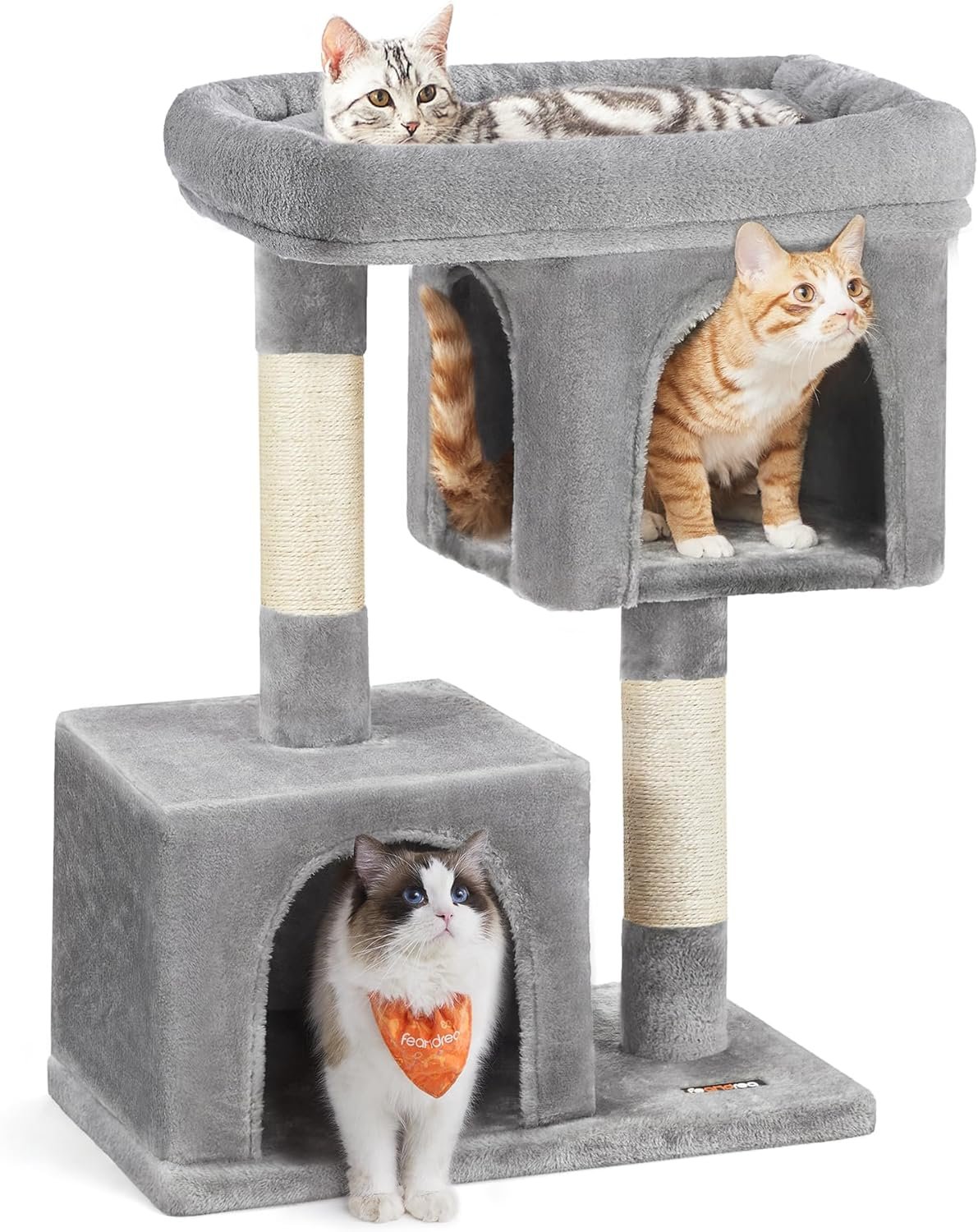 best cat trees for senior cats