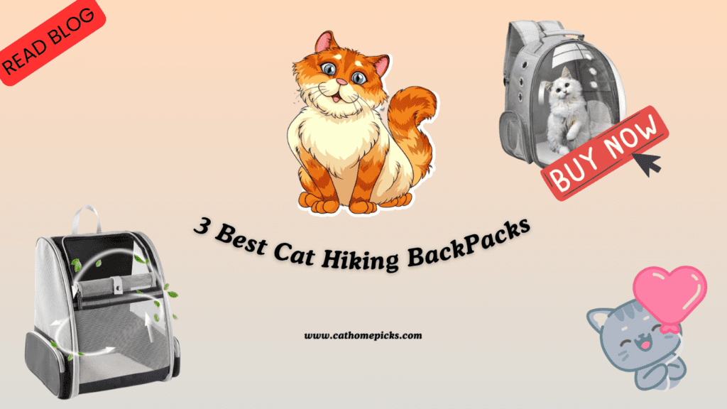 cat hiking backpack