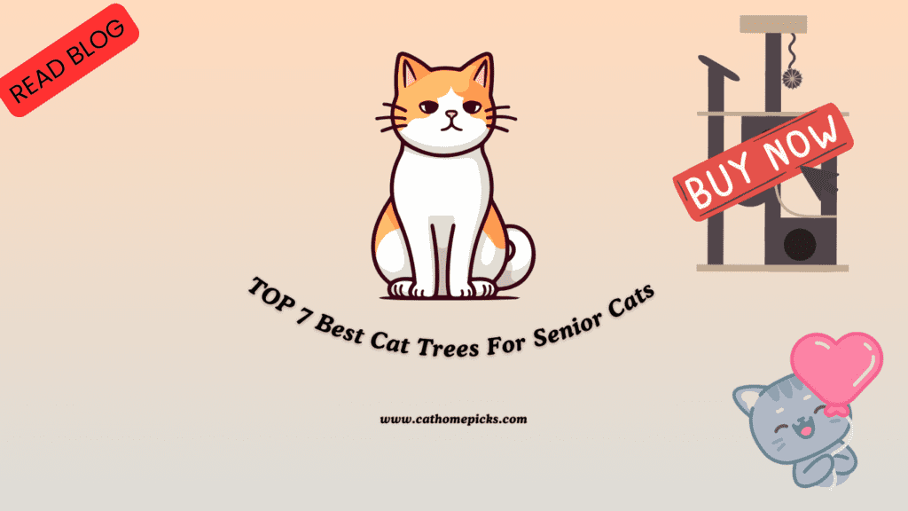 best cat trees for senior cats