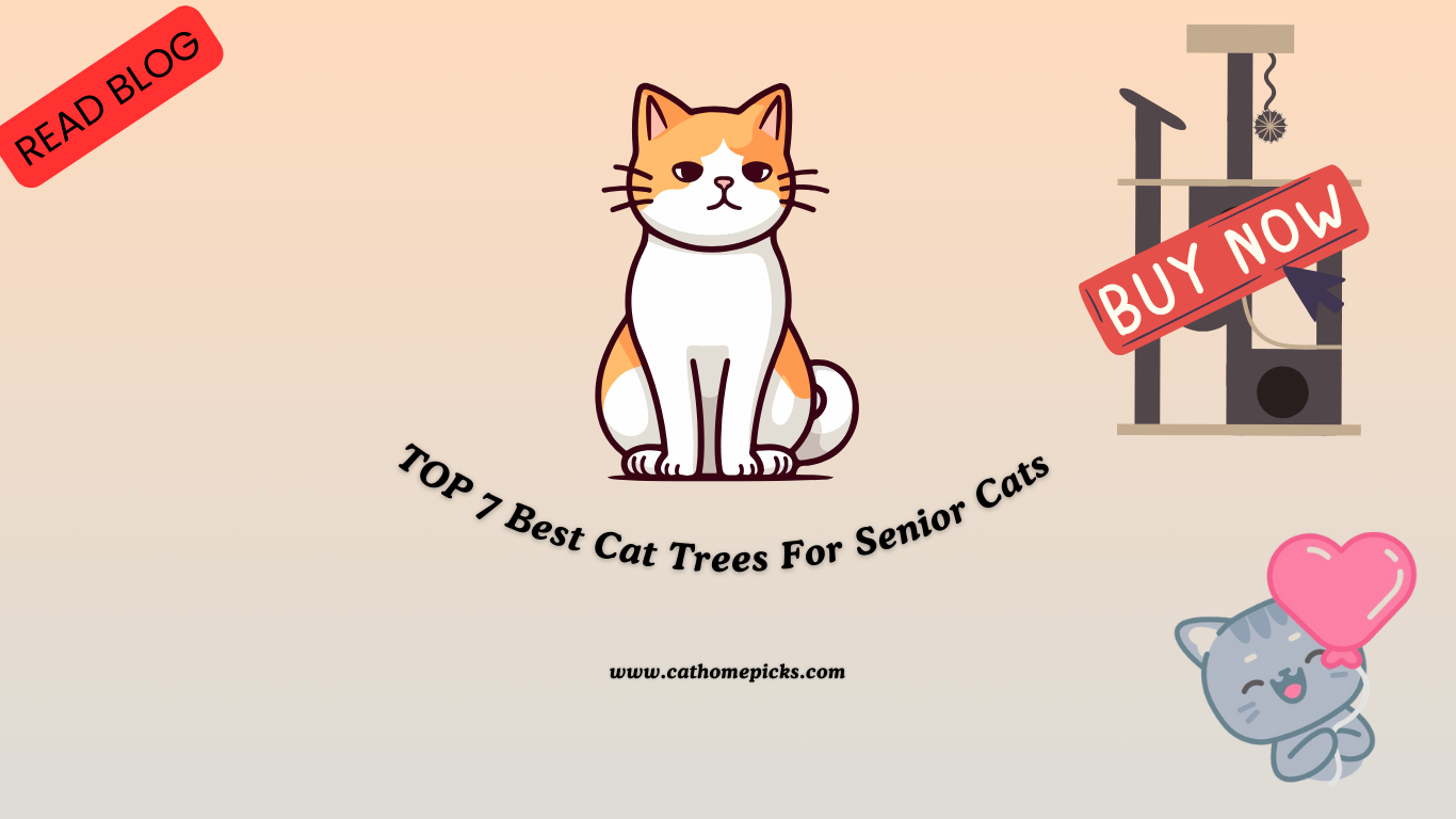 7 Best Cat Trees for Senior Cats