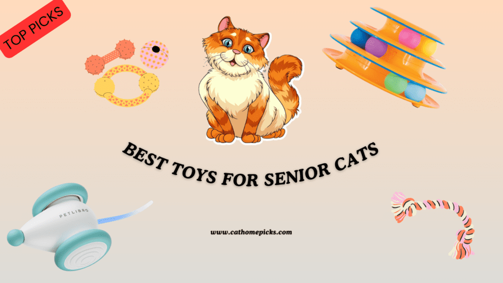 toys for senior cats